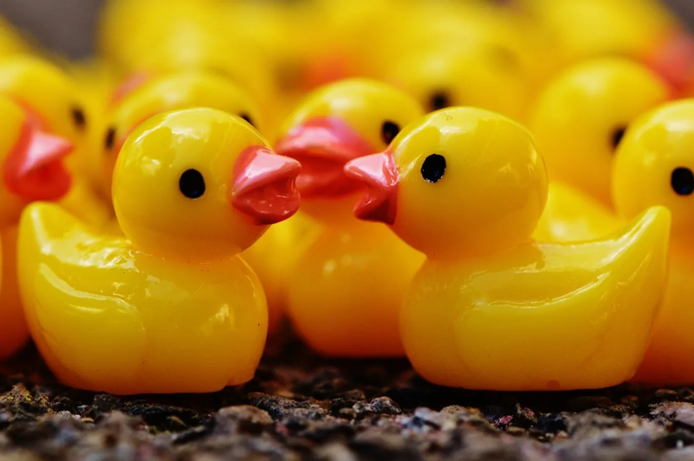 Bath-Time Duck Family (Set of 4)