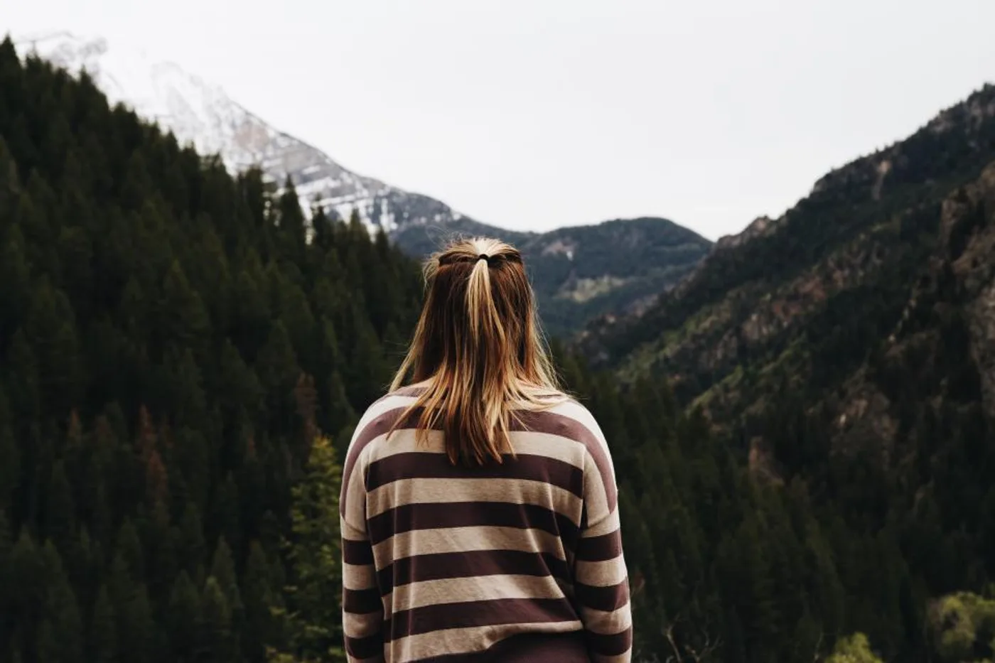 Striped Cotton Knit Sweater