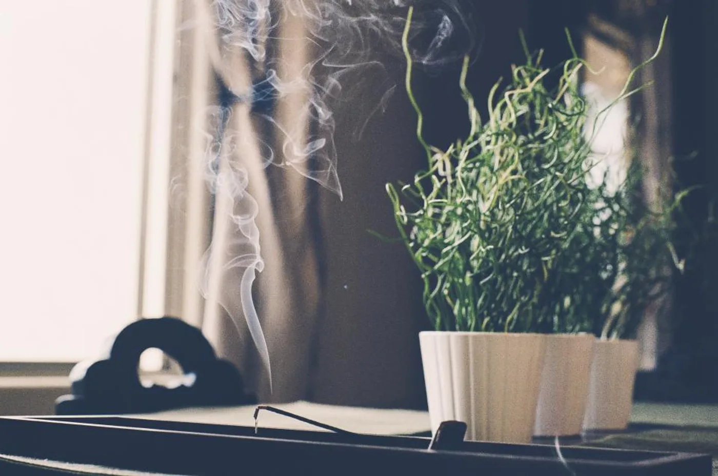 Hand-Rolled Incense Sticks, 40 sticks, another view