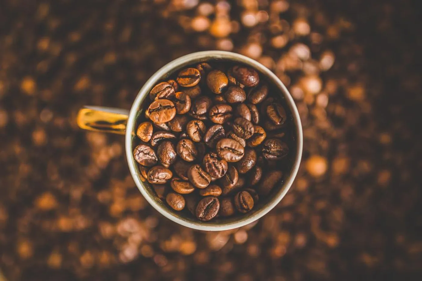 Chikmagalur Estate Coffee (250 g), another view