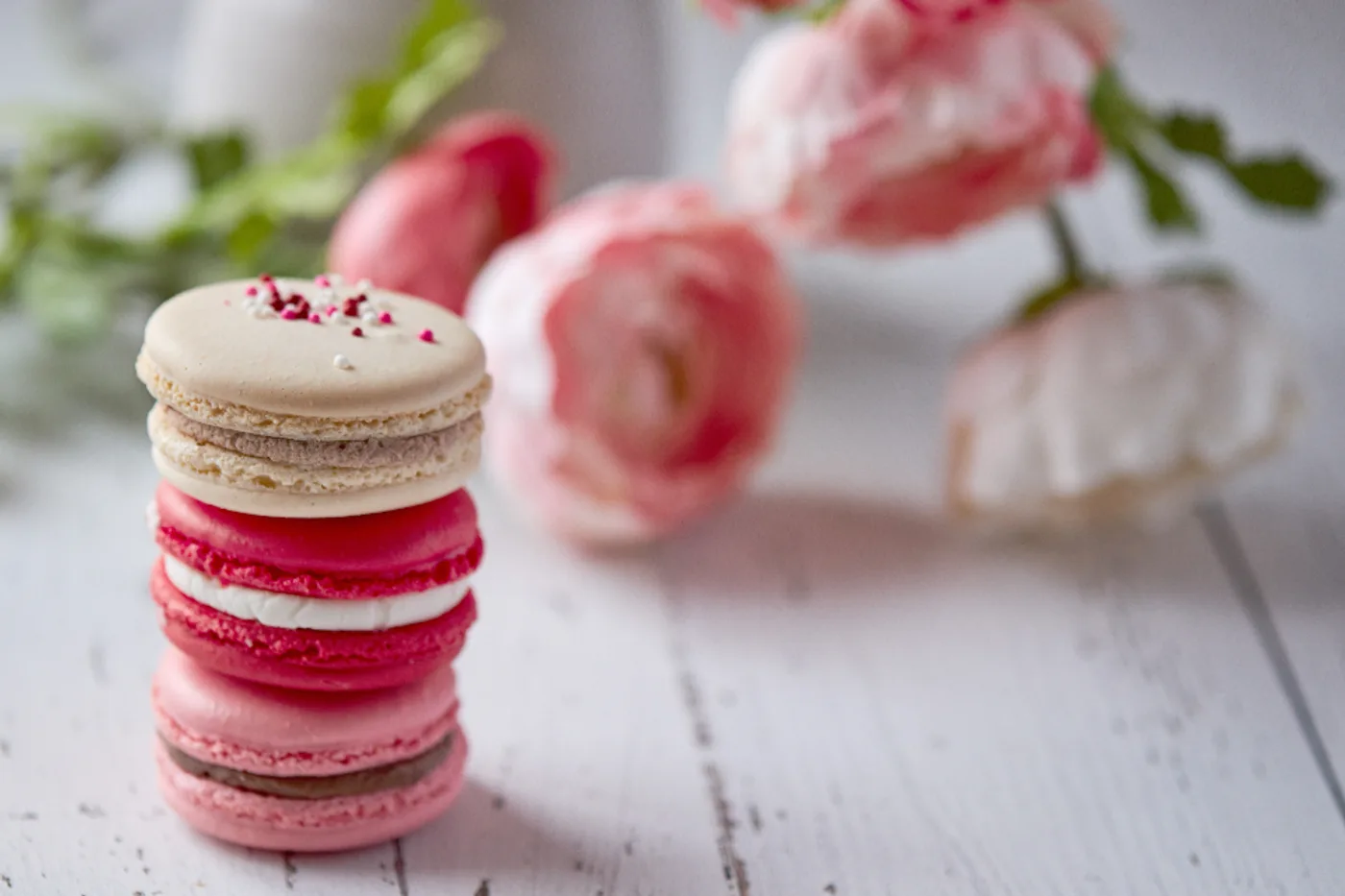 French Macarons (Box of 12)