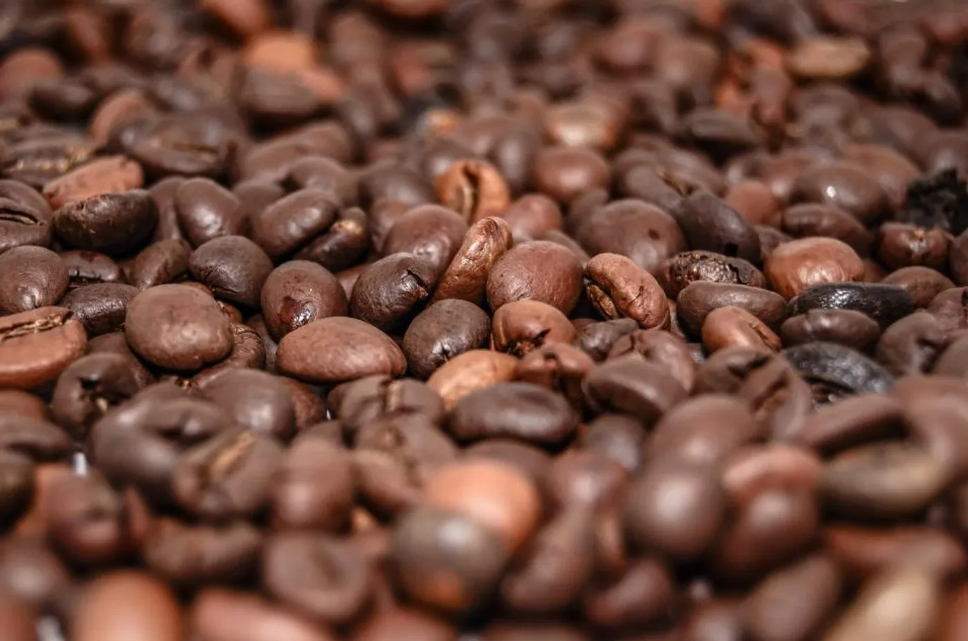 Chikmagalur Filter Coffee, 250 g