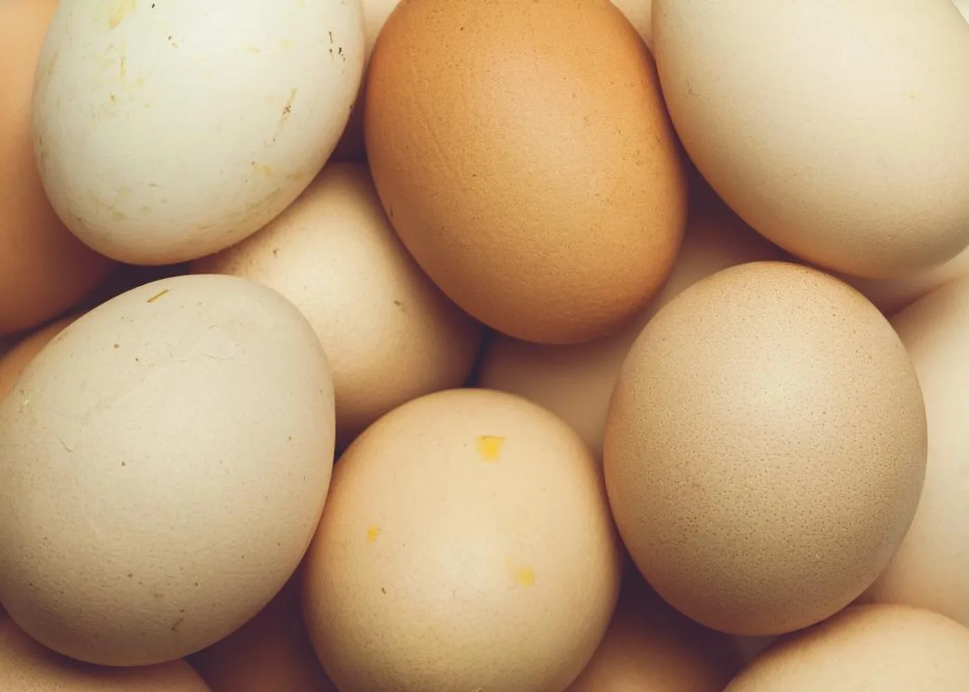 Farm Eggs (Pack of 12)