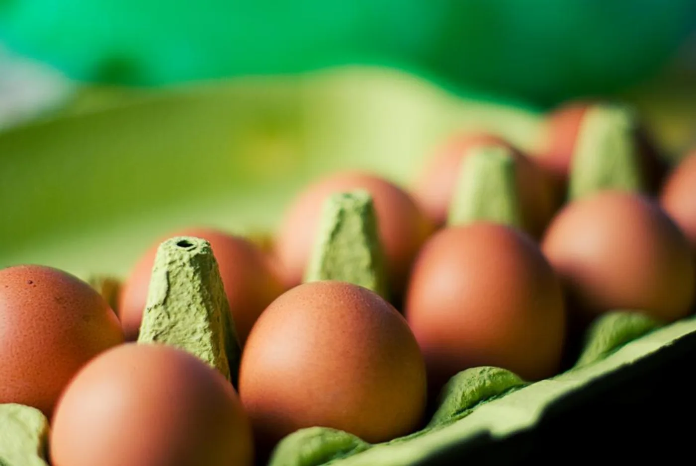 Farm Eggs (Pack of 12), another view