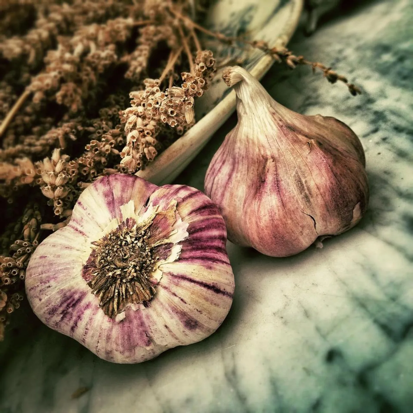 Garlic, another view
