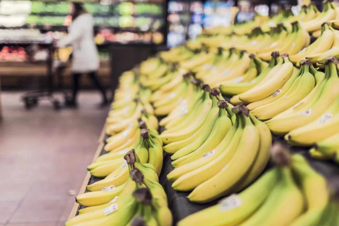 Robusta Bananas (1 dozen)