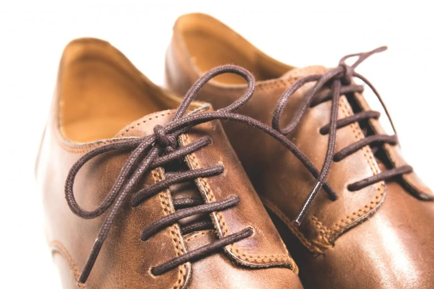Plain Derby in Chestnut