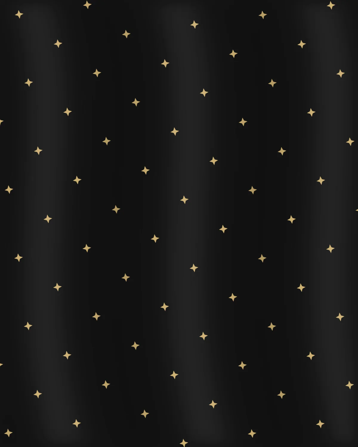 Fabric detail of the Kadhwa Banarasi Saree — Noir