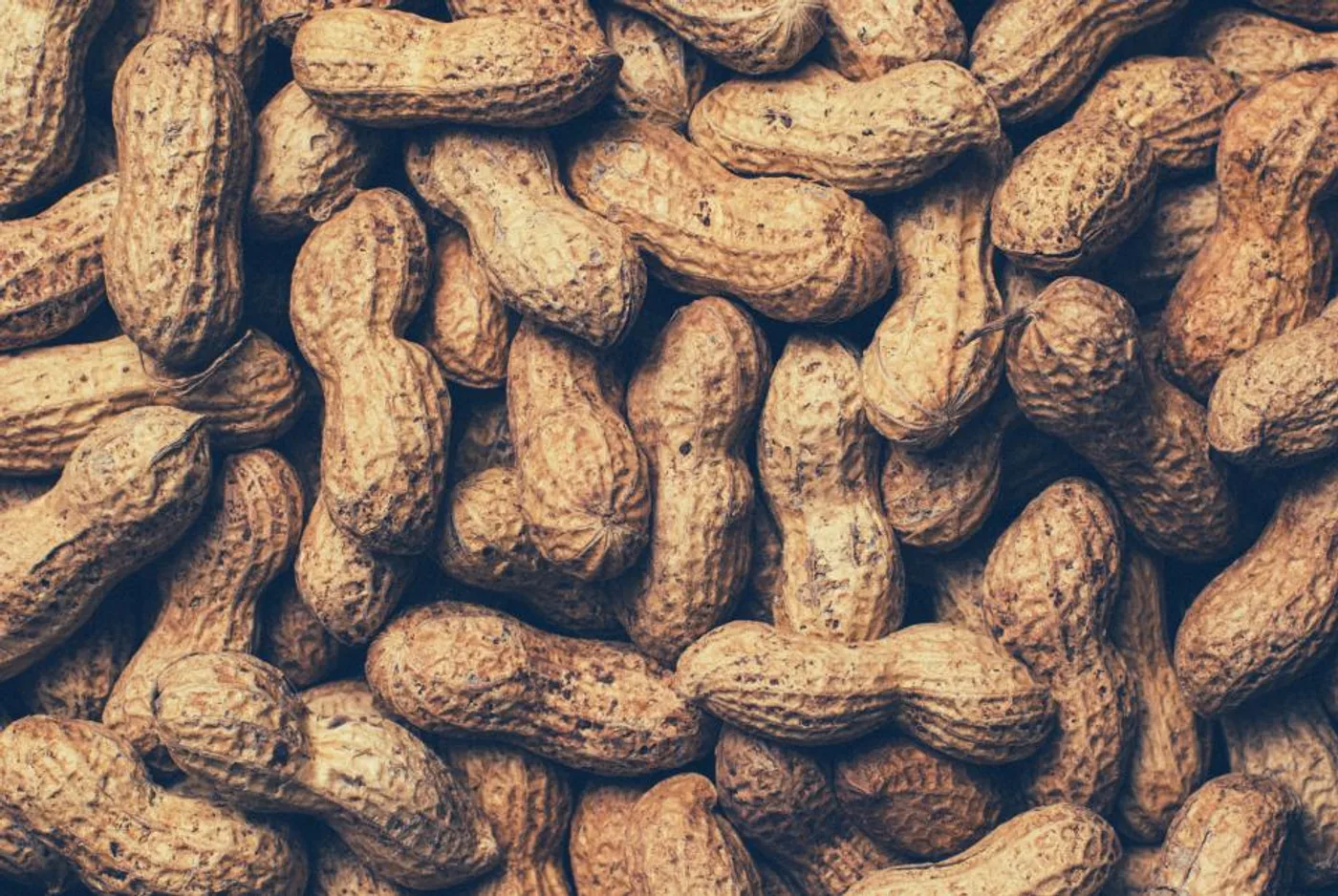 Wood-Pressed Groundnut Oil, another view