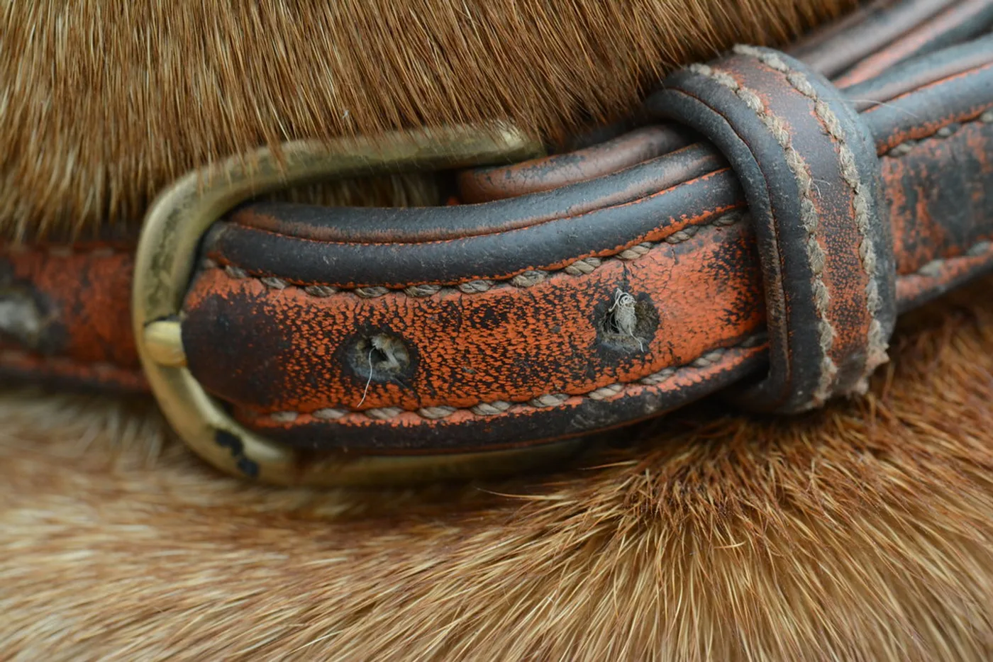 Hand-Stitched Leather Collar