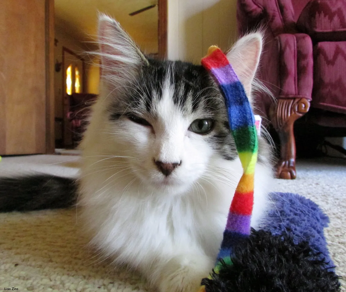 Rainbow Knit Kicker Toy