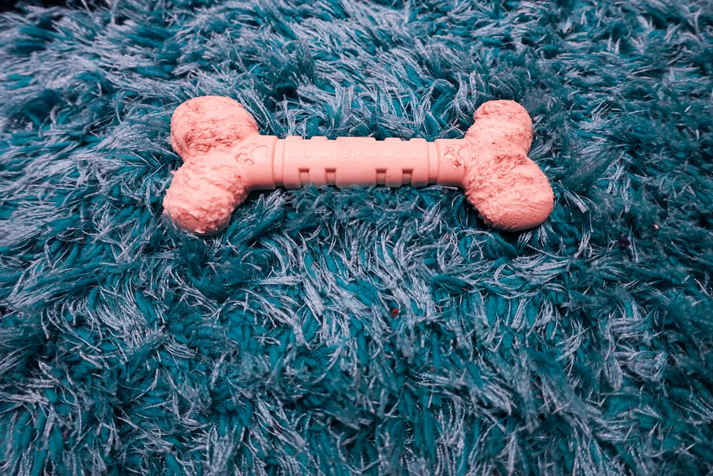 Tough Bone Chew Toy