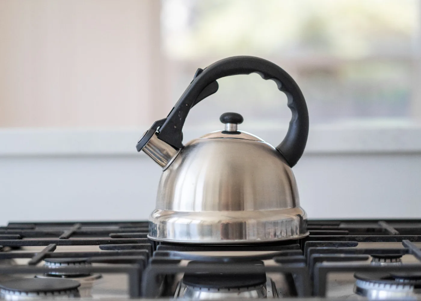 Steel Whistling Kettle (Induction-Ready)