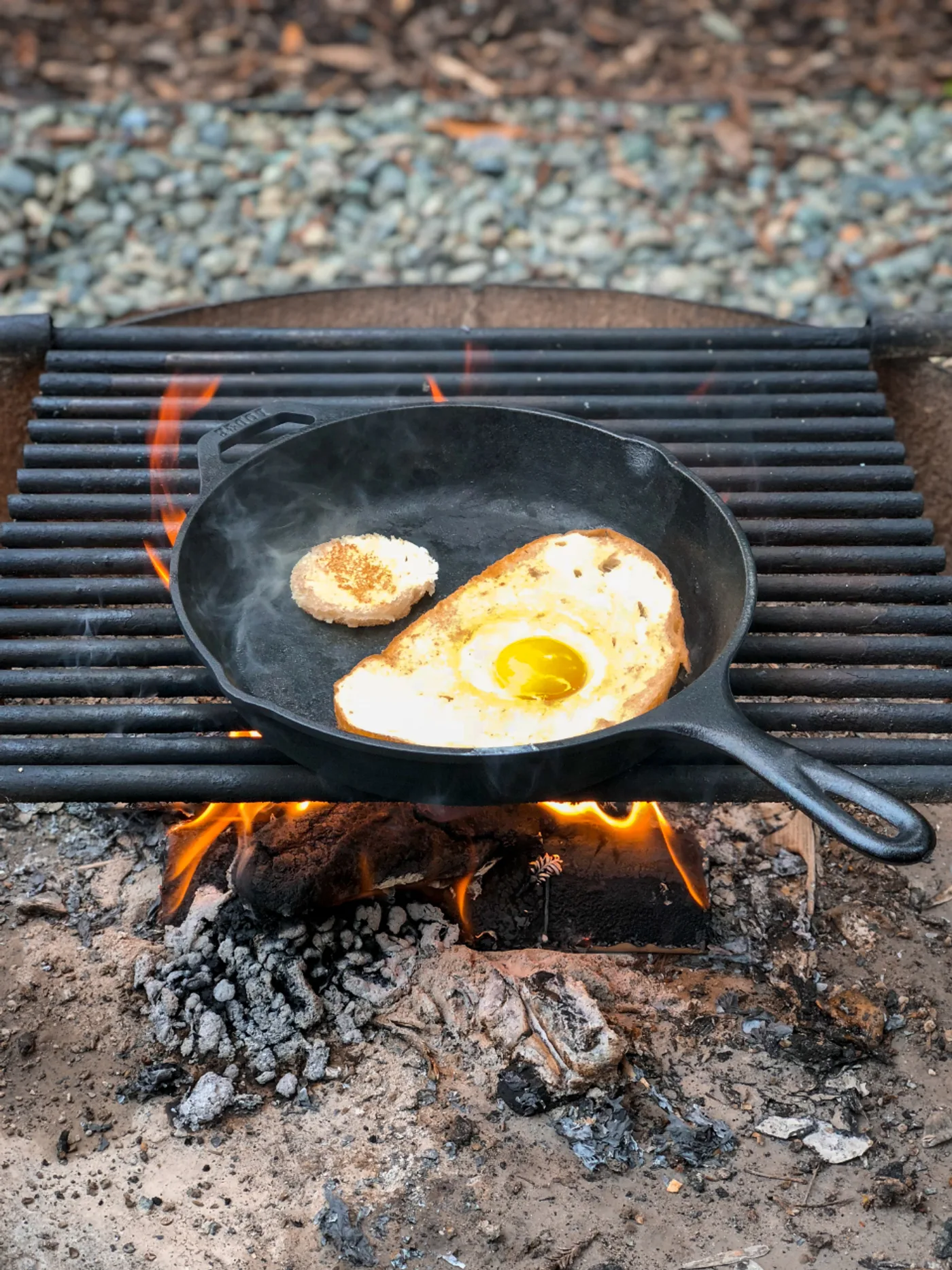 Pre-Seasoned Cast Iron Skillet, 10 inch