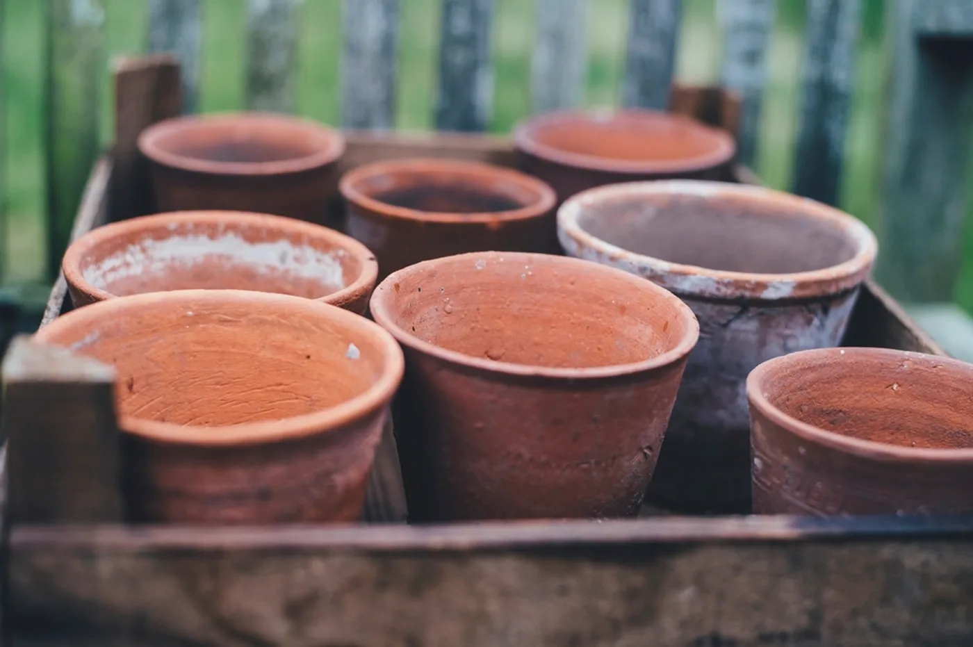 Terracotta Plant Pot