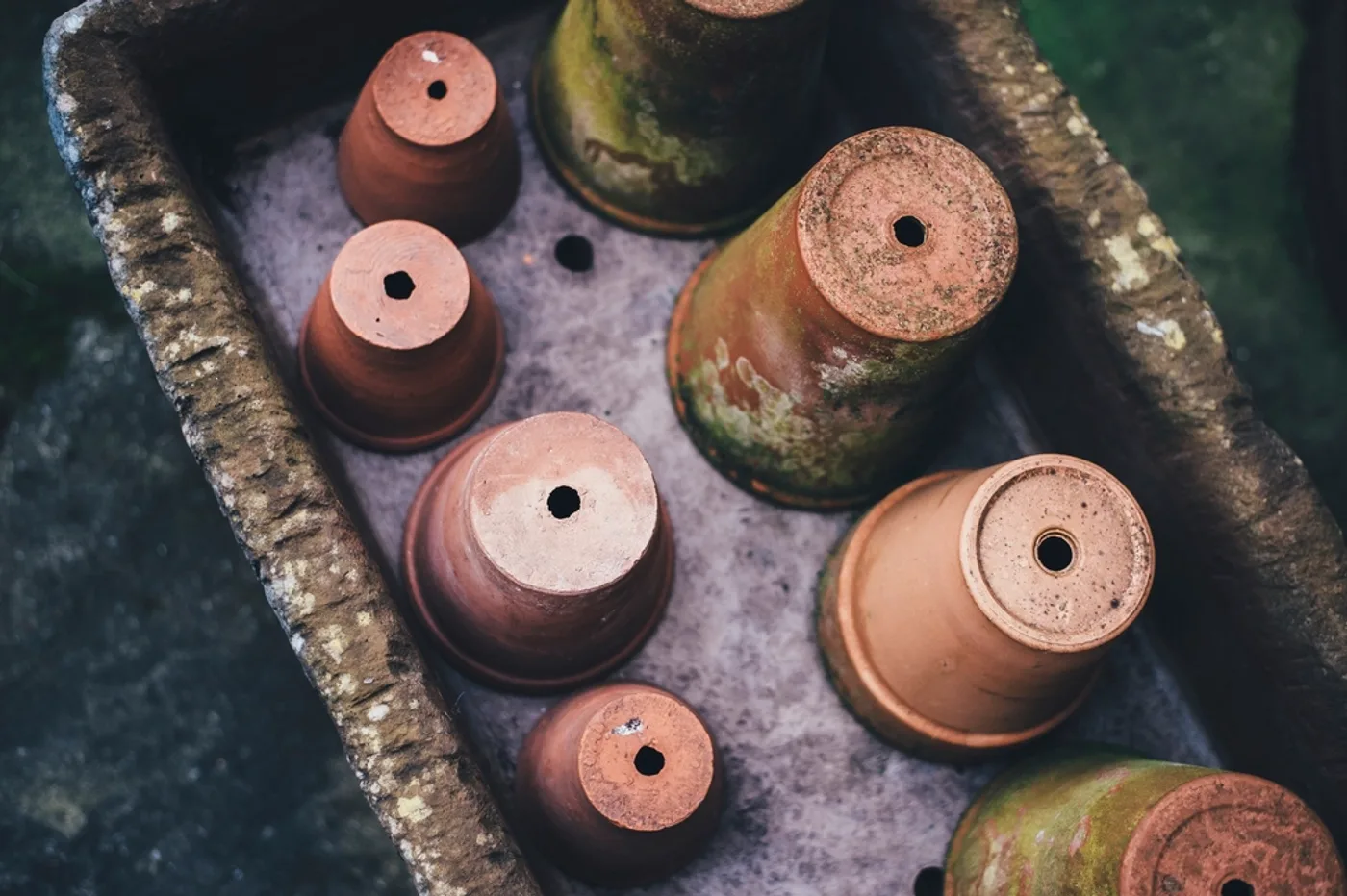 Terracotta Plant Pot, another view